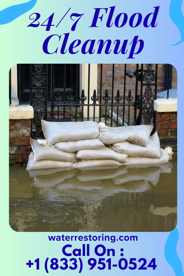 24/7 Flood Cleanup in Lyons, IN