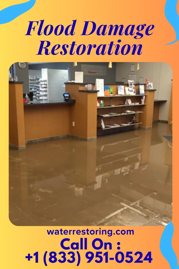 Flood Damage Restoration in Lyons, IN