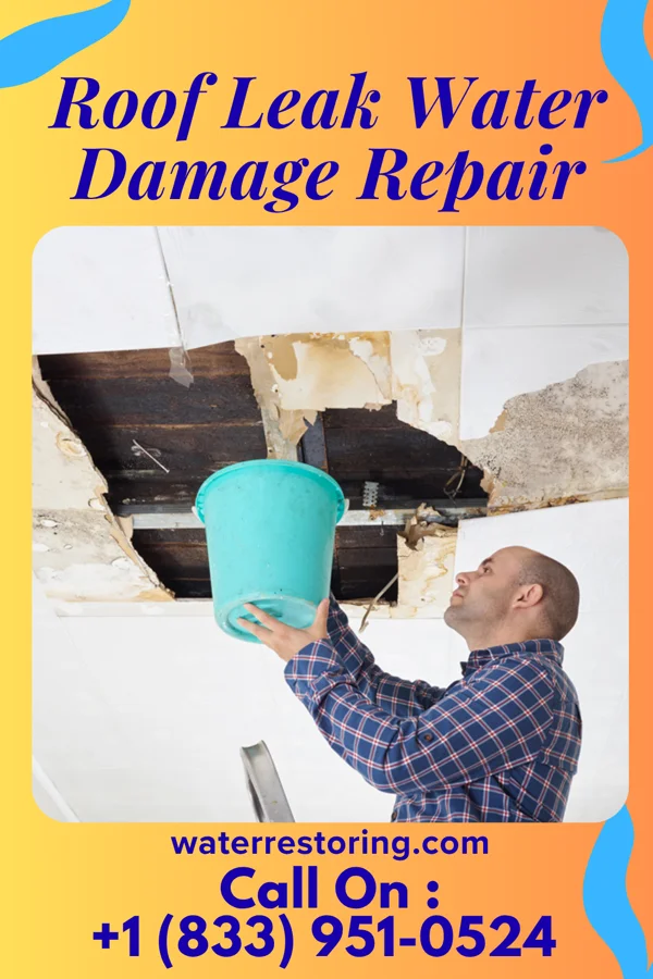 Roof Leak Water Damage Repair in Lyons, IN